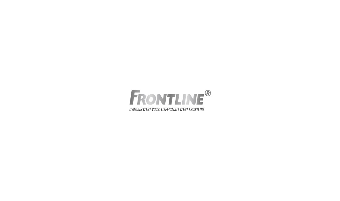 Frontline Frontline