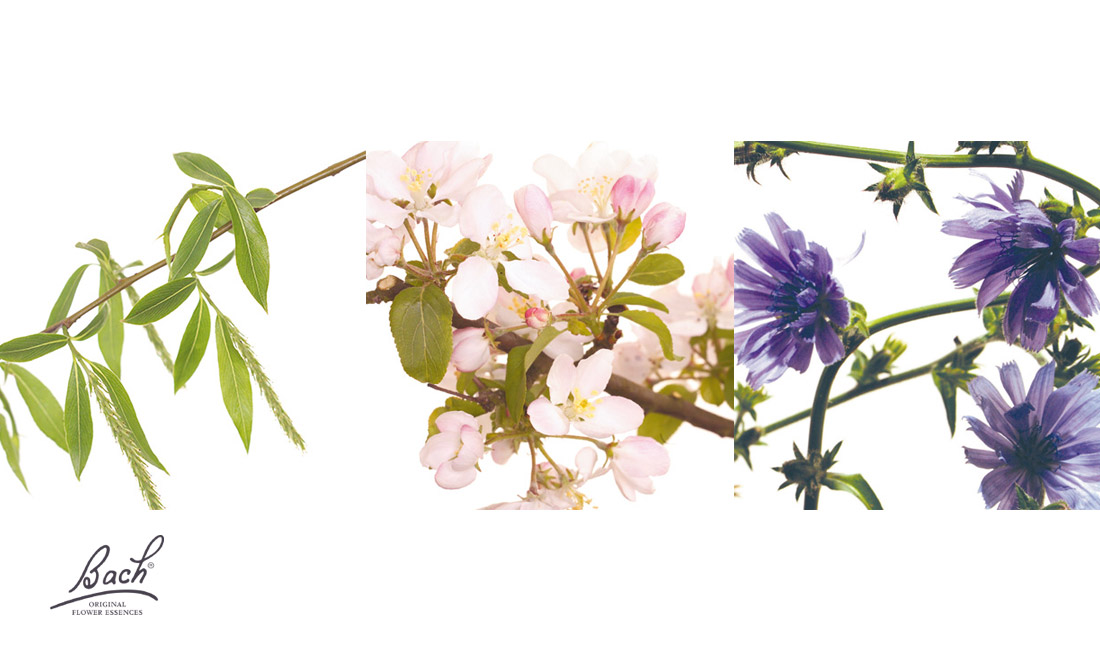 Fleurs de Bach Fleurs de Bach