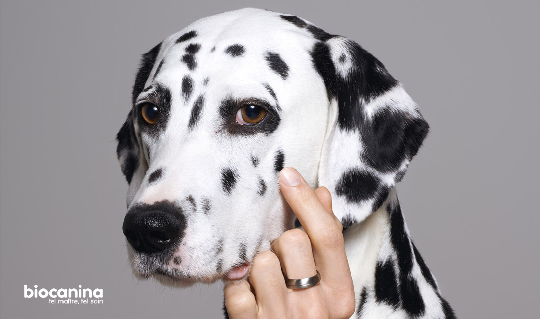 Biocanina Biocanina