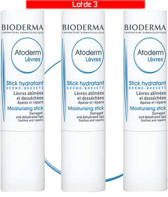 ATODERM STICK LEVRE 4G LOT3